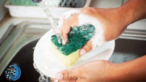 مایع ظرفشویی فله نوهونه